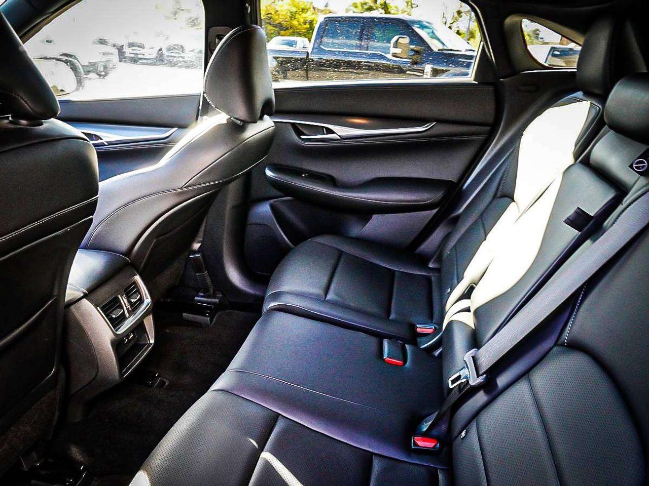 2024 Infiniti QX55  Photo
