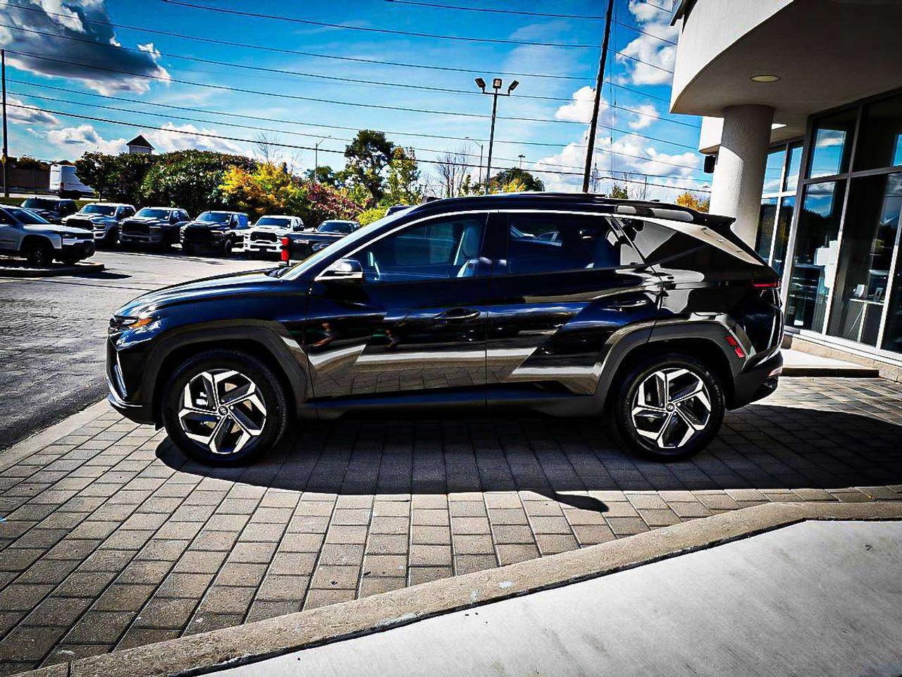 2024 Hyundai Tucson  Photo