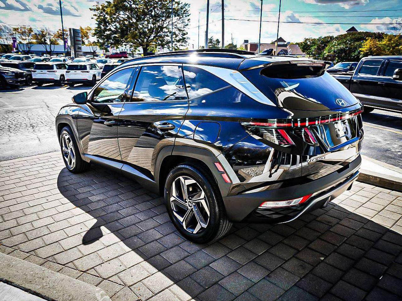 2024 Hyundai Tucson  Photo