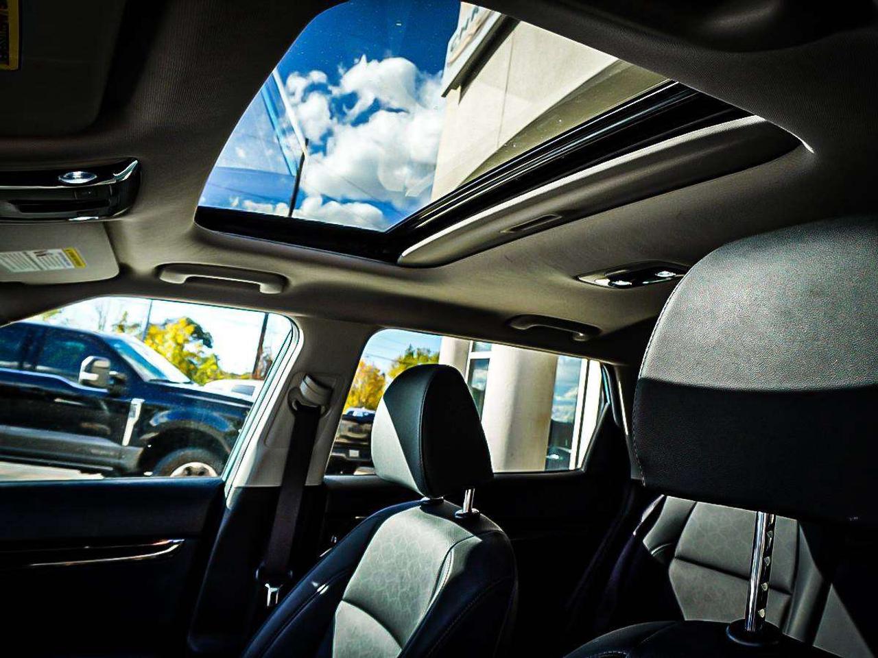 2025 Kia Seltos  Photo