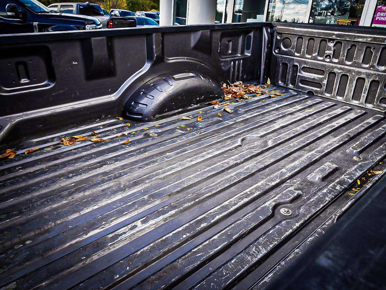 2021 Ford F-250  Photo
