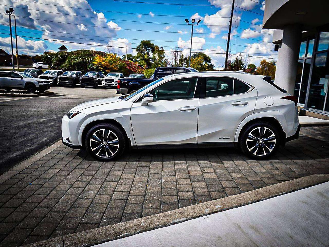 2022 Lexus UX  Photo