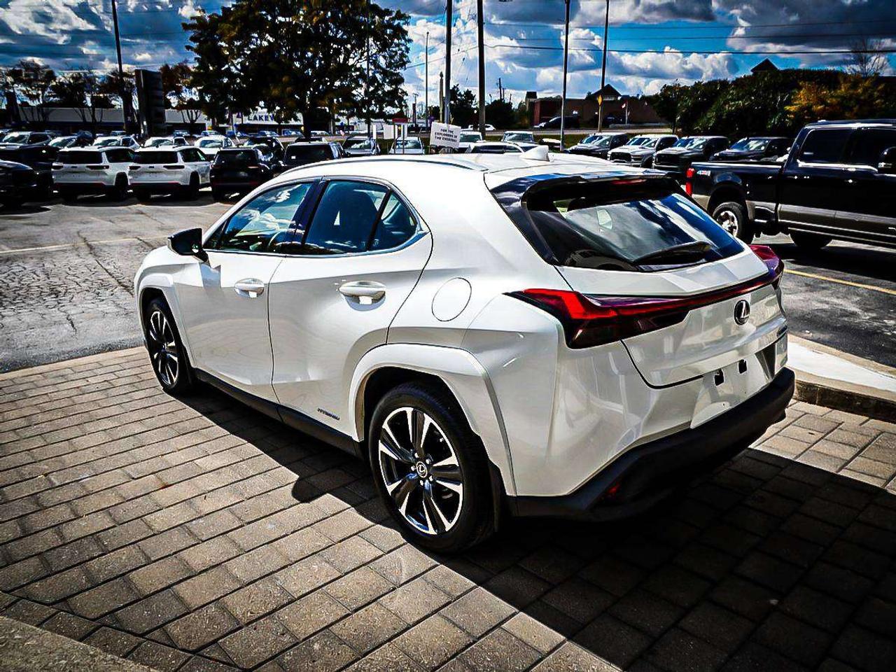 2022 Lexus UX  Photo