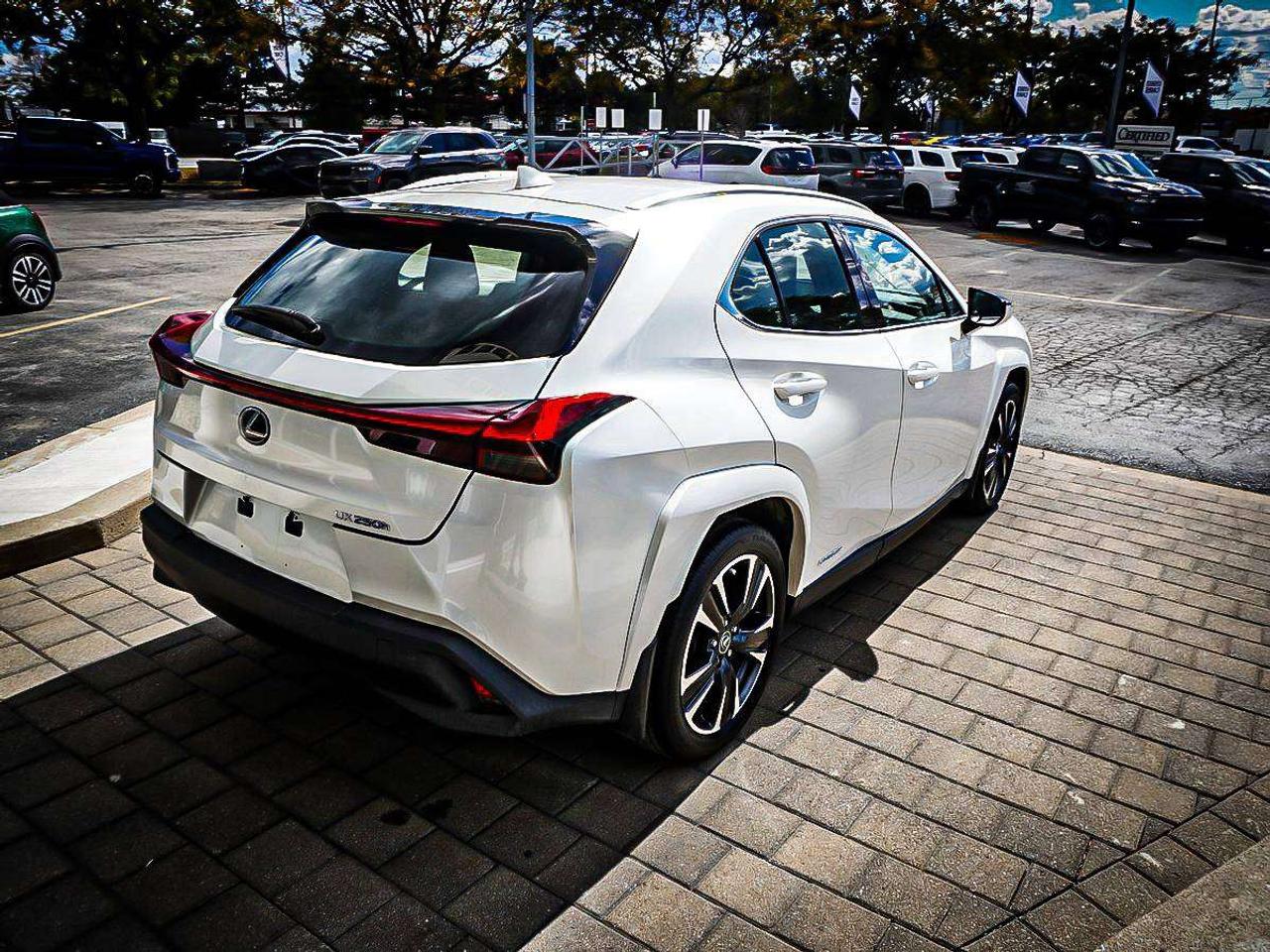 2022 Lexus UX  Photo