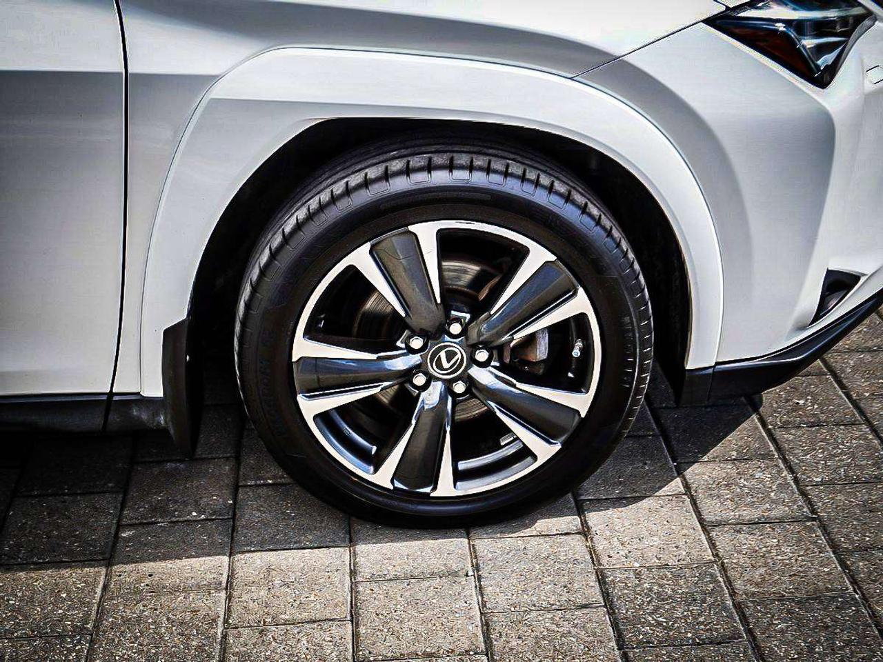 2022 Lexus UX  Photo