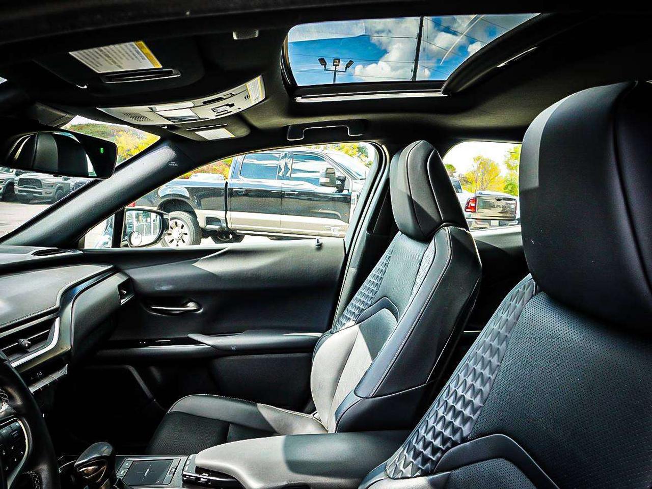 2022 Lexus UX  Photo