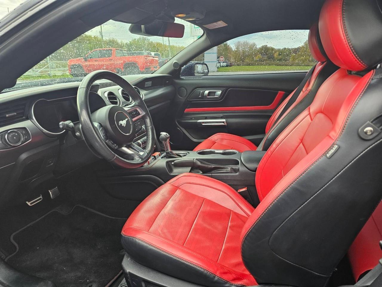 2021 Ford Mustang EcoBoost 2dr Fastback Photo