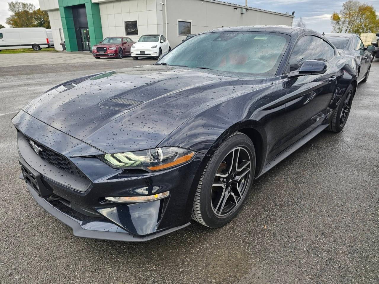 2021 Ford Mustang EcoBoost 2dr Fastback Photo