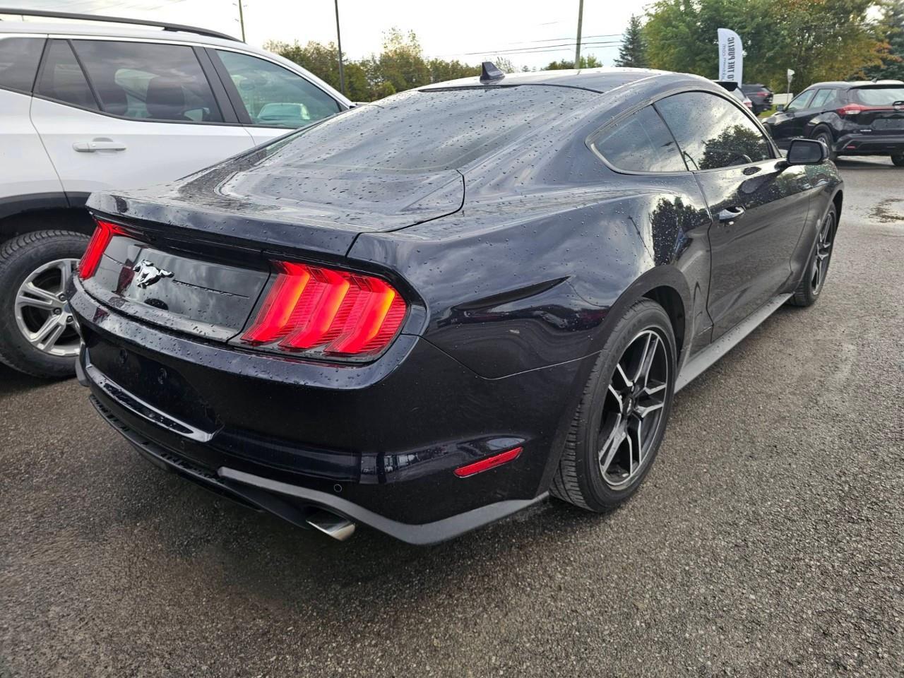 2021 Ford Mustang EcoBoost 2dr Fastback Photo1