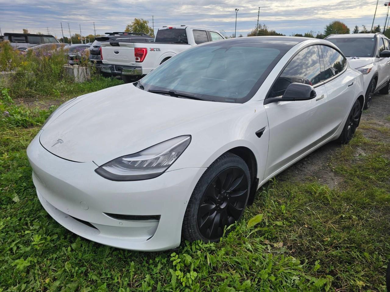 2021 Tesla Model 3 Standard Range Plus 4dr Rear-Wheel Drive Sedan Photo0