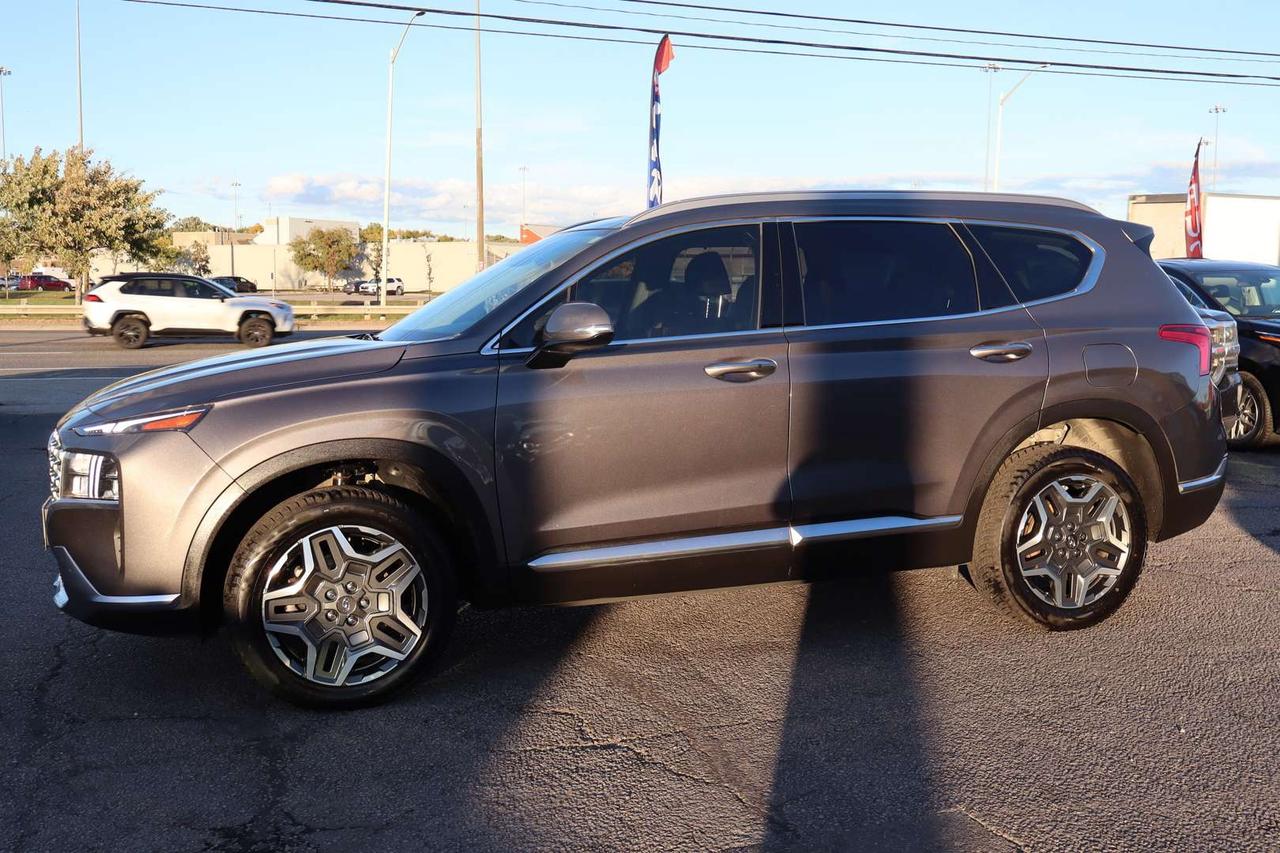 2023 Hyundai Santa Fe Luxury AWD   No Accident   Clean Carfax   Moonroof Photo