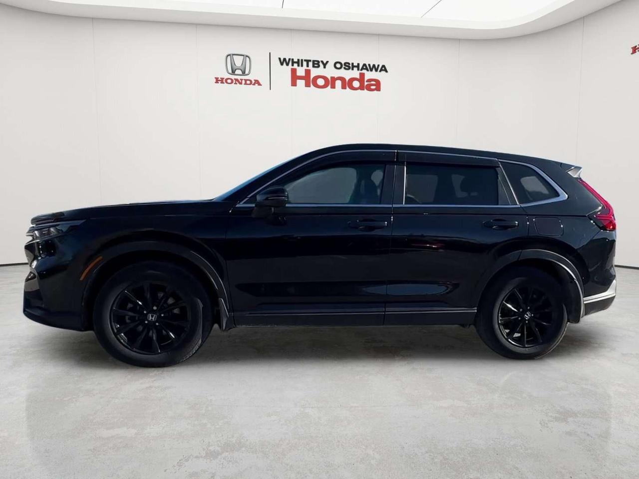 2025 Honda CR-V EX-L Photo2