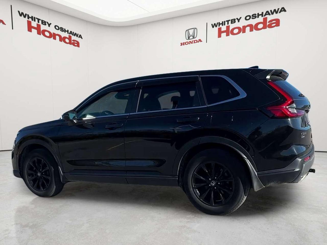 2025 Honda CR-V EX-L Photo