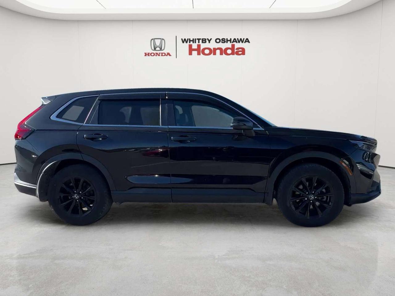 2025 Honda CR-V EX-L Photo