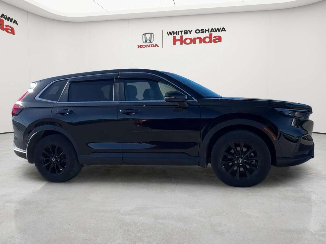 2025 Honda CR-V EX-L Photo
