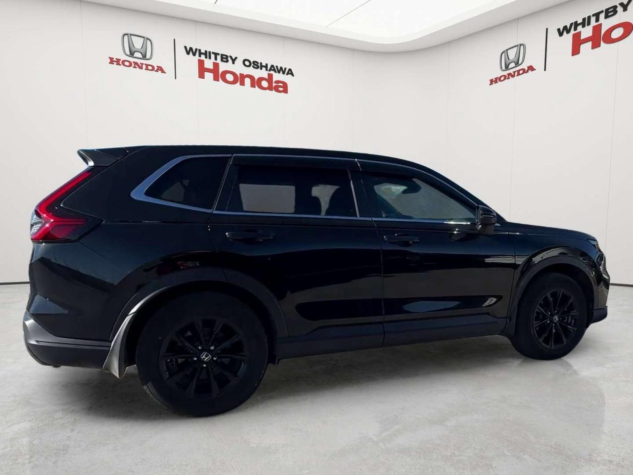 2025 Honda CR-V EX-L Photo