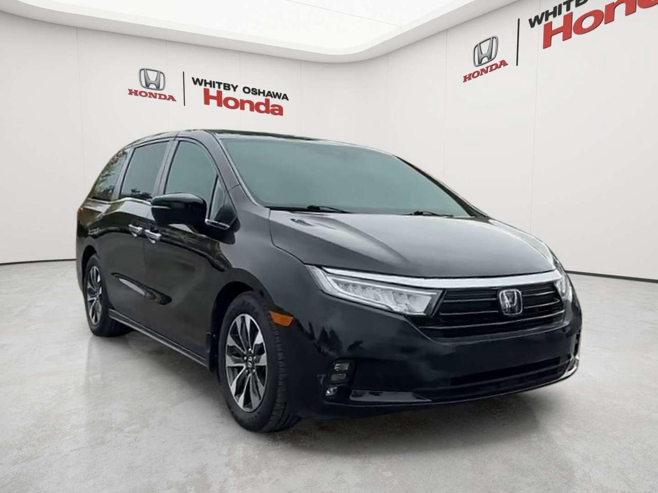 2022 Honda Odyssey EX-L Photo
