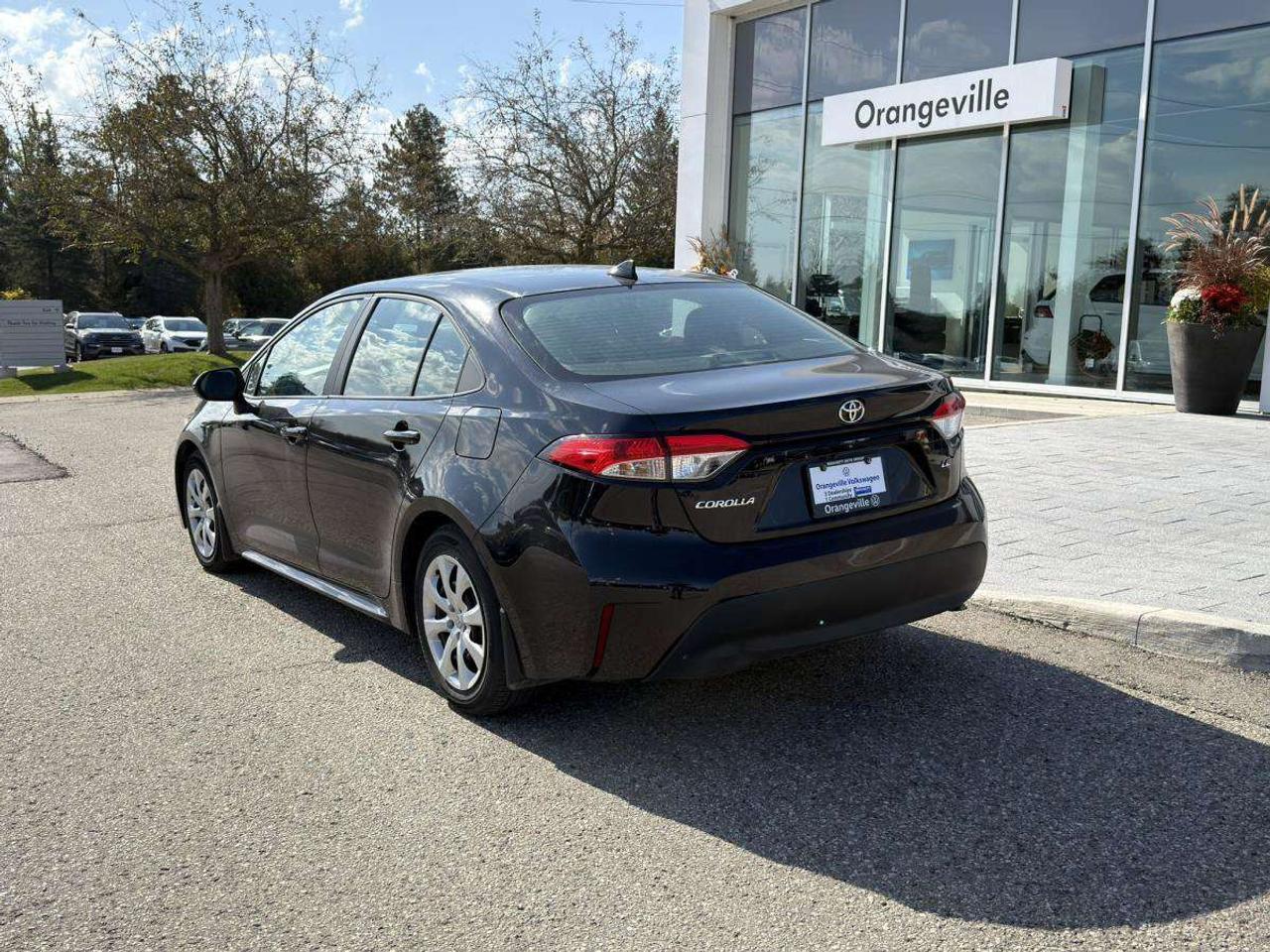 2024 Toyota Corolla  Photo