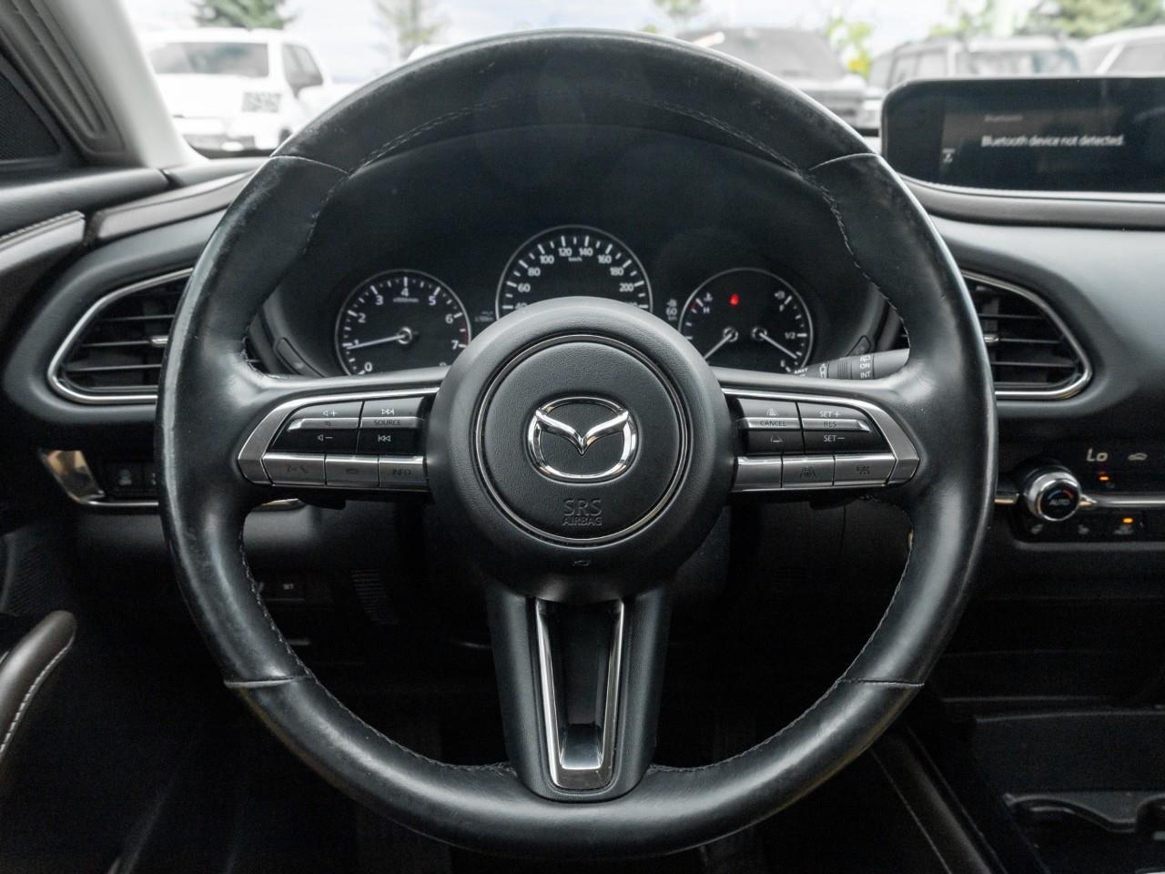 2023 Mazda CX-30 GT w/Turbo 4dr i-ACTIV All-Wheel Drive Sport Utility Photo