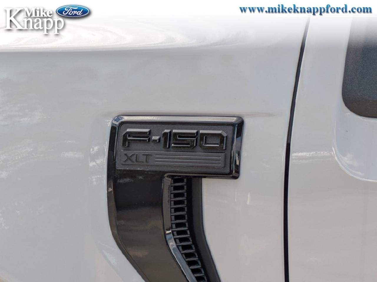 2026 Ford F-150 XLT Photo