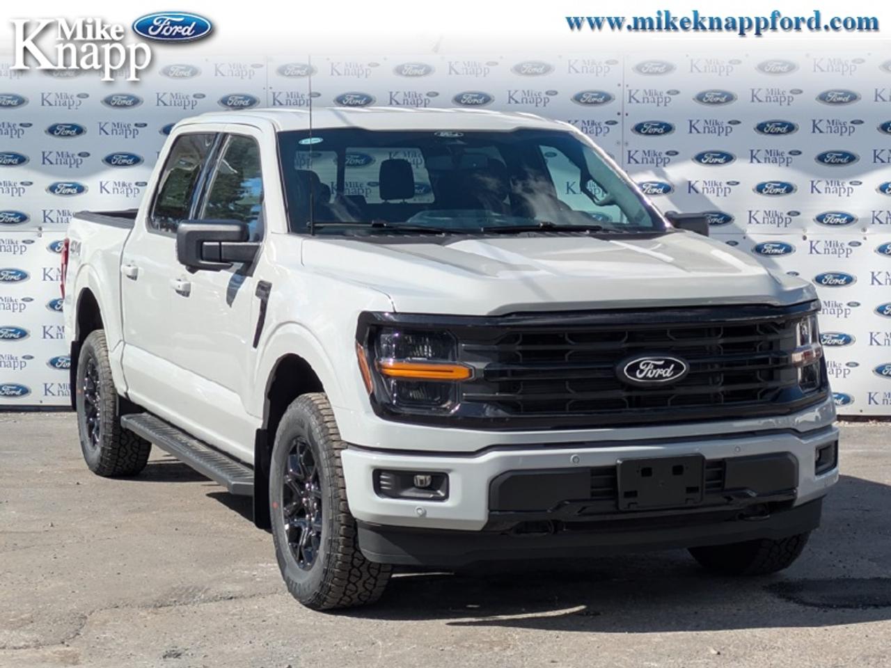 2026 Ford F-150 XLT Photo