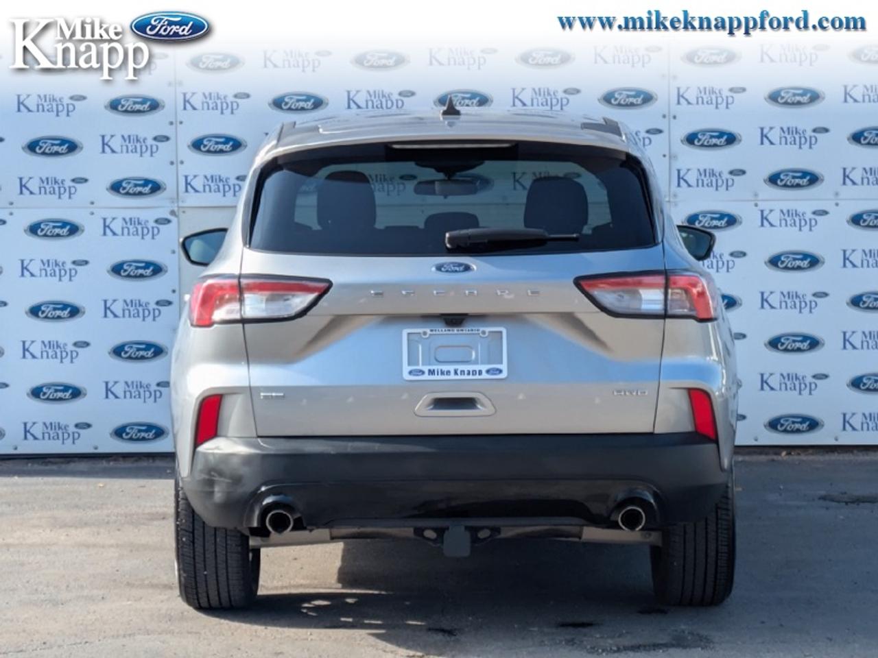 2022 Ford Escape SE Photo3