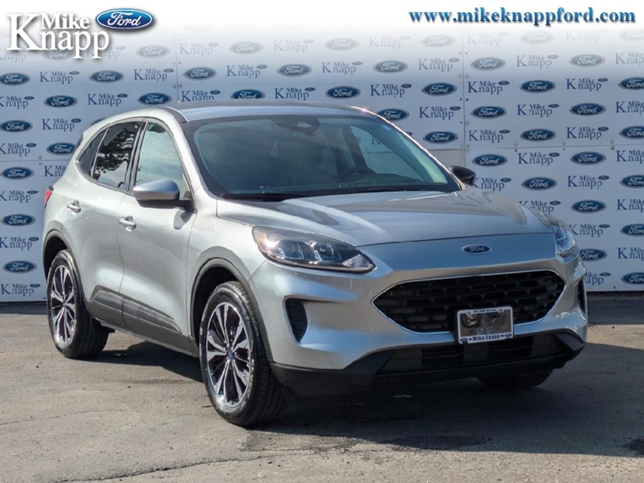 2022 Ford Escape SE Photo