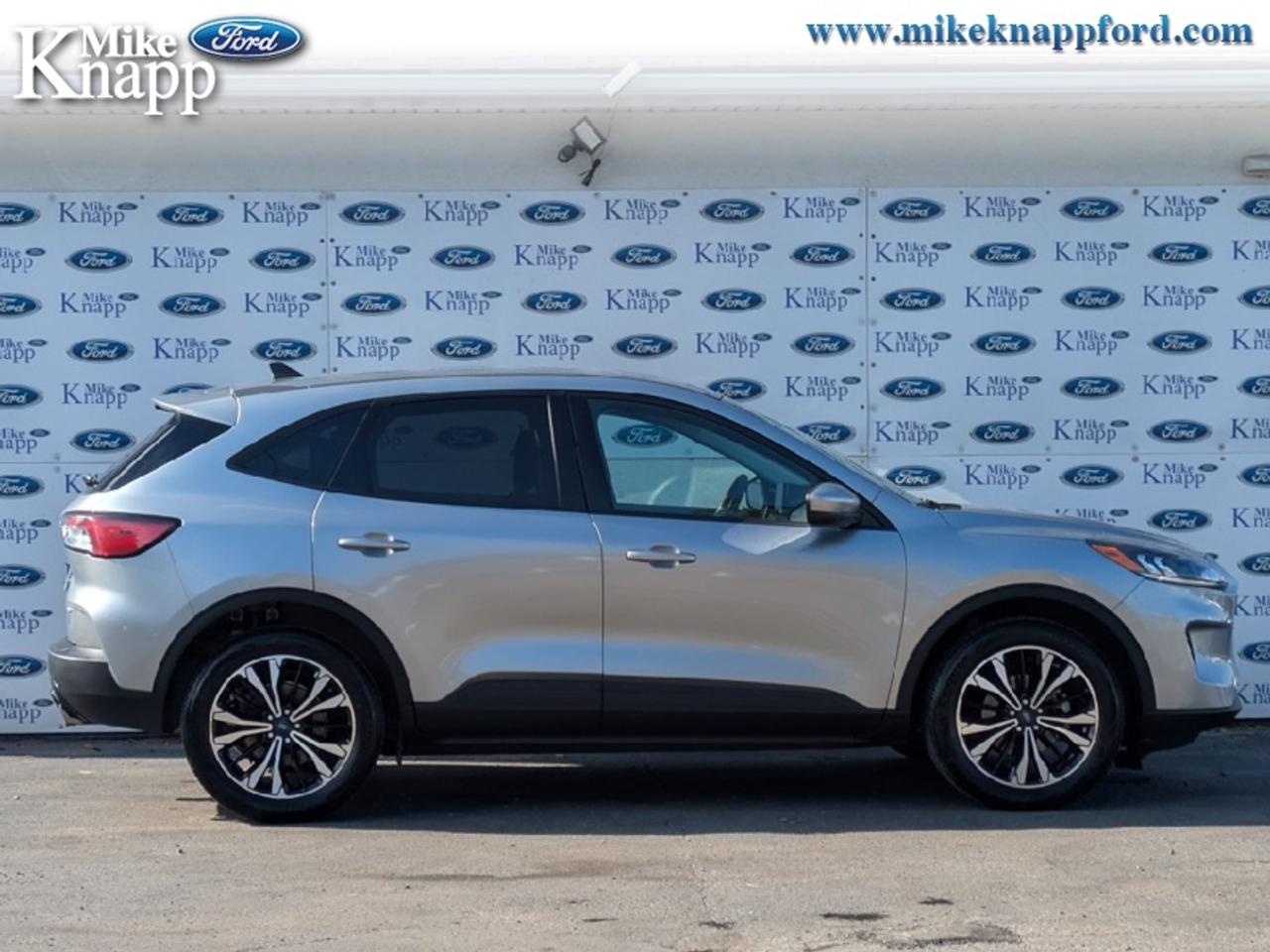 2022 Ford Escape SE Photo