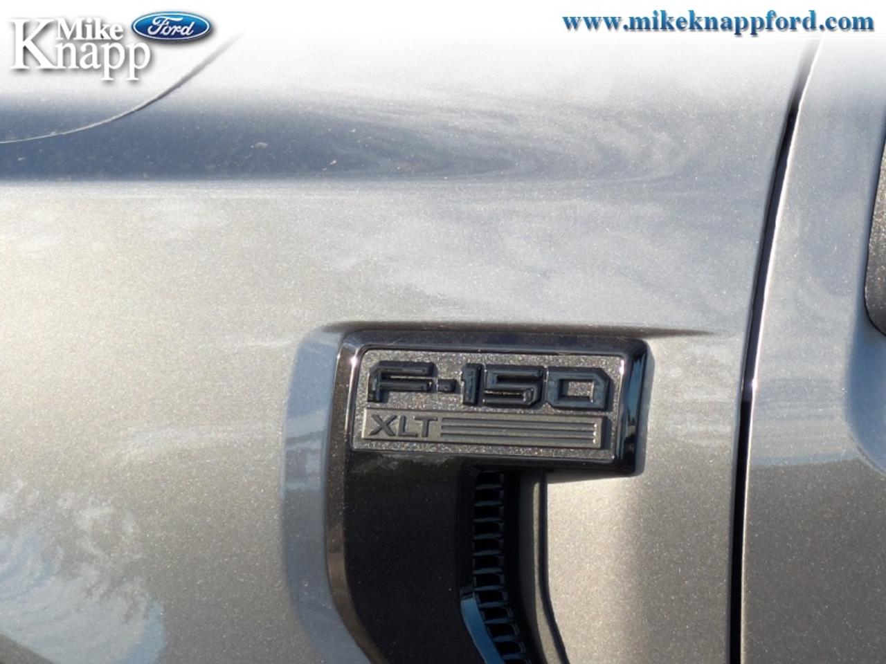 2026 Ford F-150 XLT Photo
