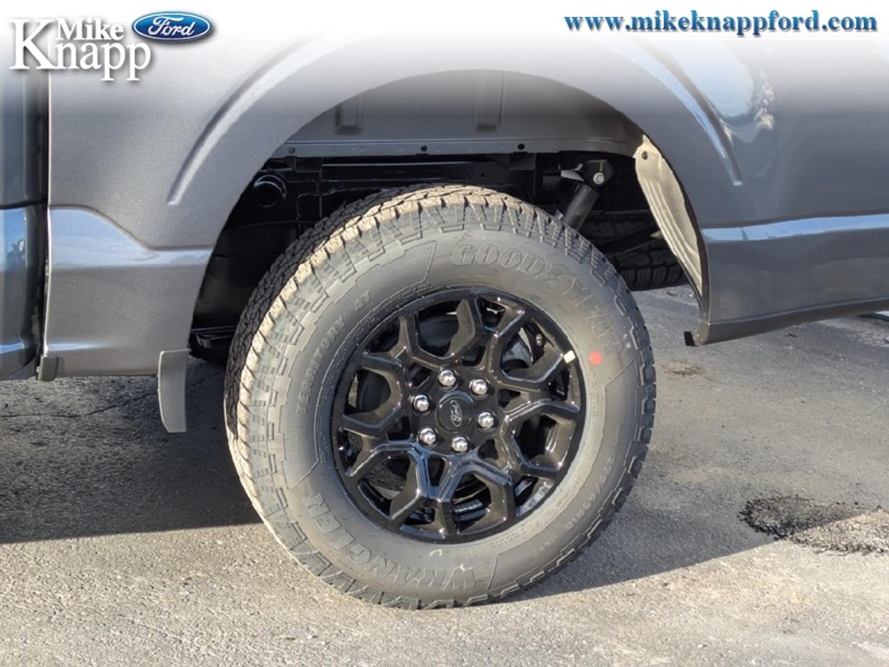 2026 Ford F-150 XLT Photo