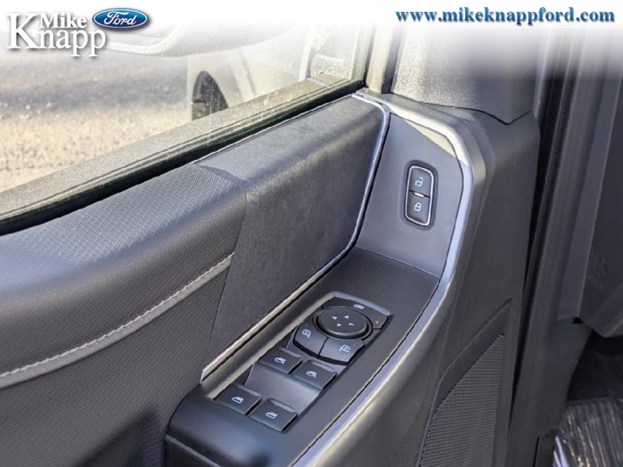 2026 Ford F-150 XLT Photo