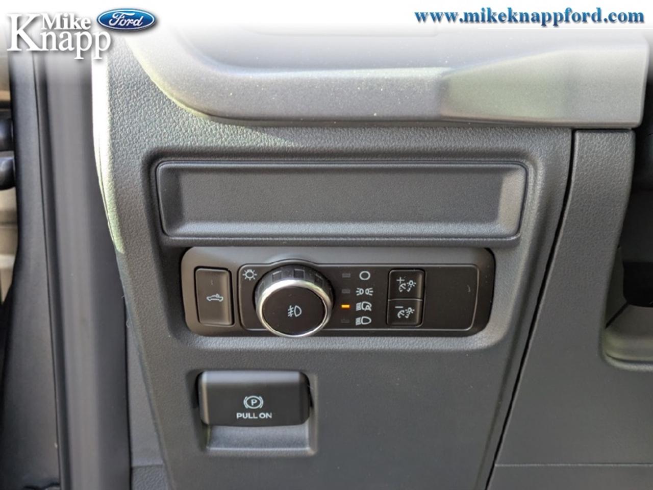 2026 Ford F-150 XLT Photo