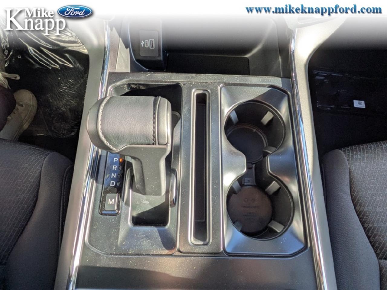 2026 Ford F-150 XLT Photo