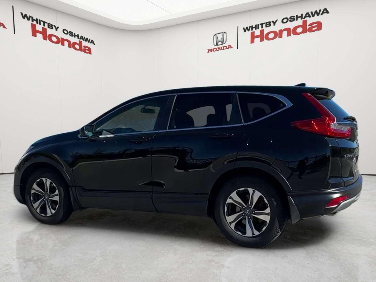 2019 Honda CR-V LX Photo