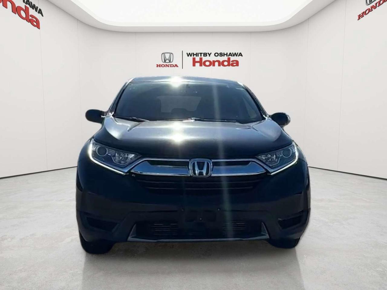 2019 Honda CR-V LX Photo