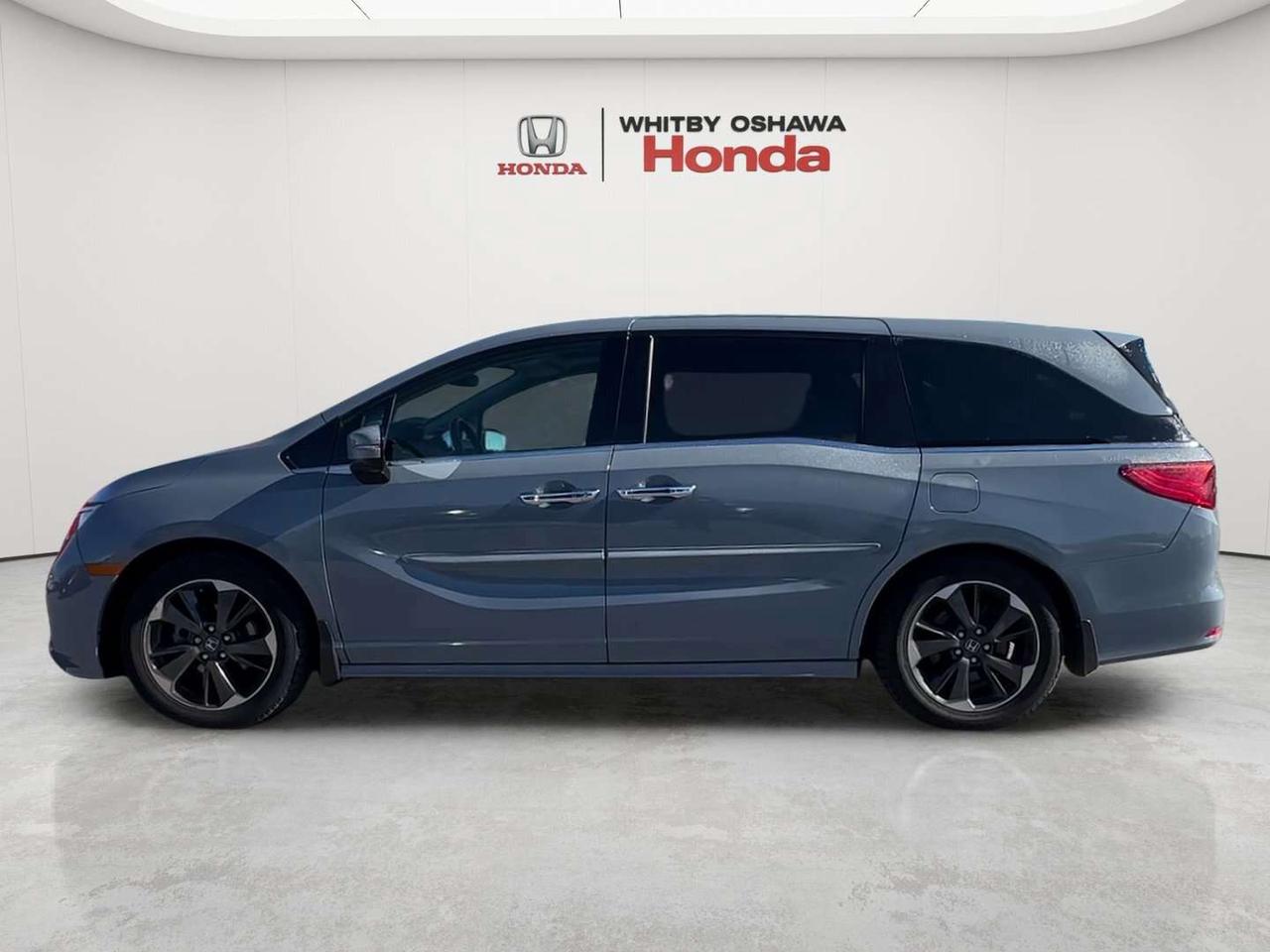 2023 Honda Odyssey Touring Photo
