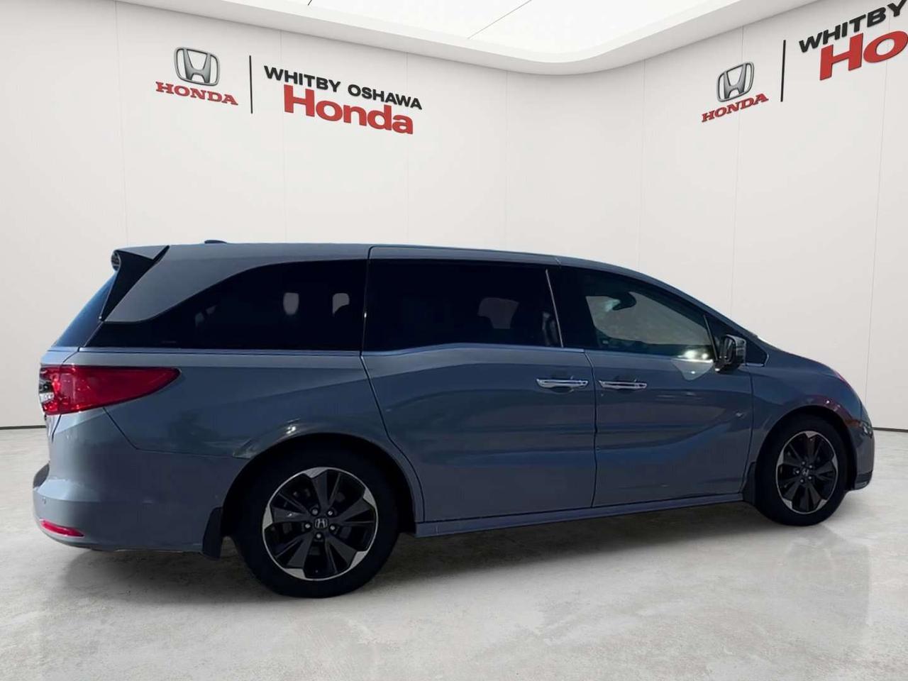 2023 Honda Odyssey Touring Photo