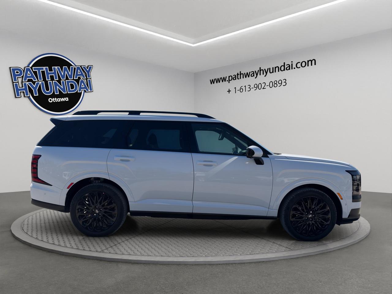 2027 Hyundai Palisade Hybrid Ultimate Calligraphy Night Photo
