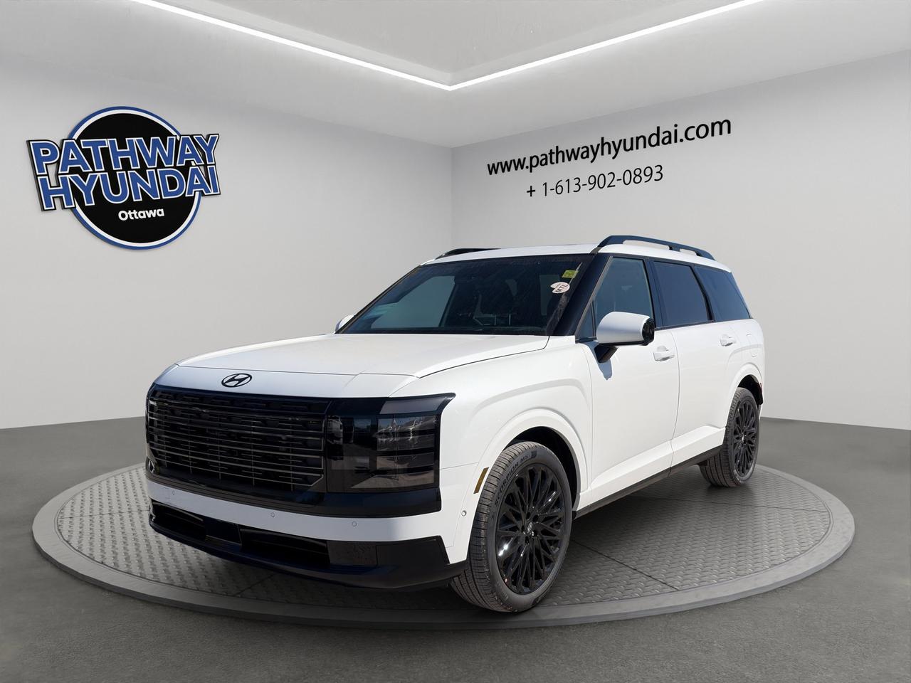 2027 Hyundai Palisade Hybrid Ultimate Calligraphy Night Photo