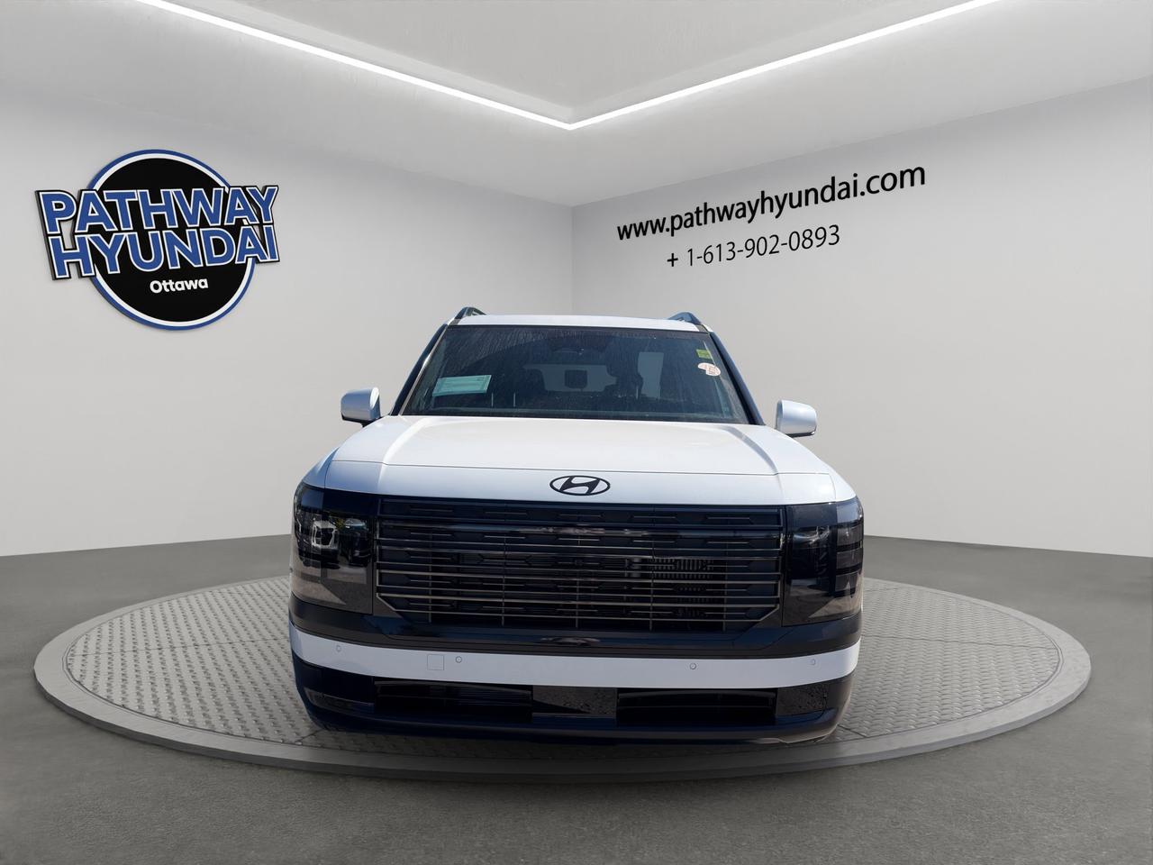 2027 Hyundai Palisade Hybrid Ultimate Calligraphy Night Photo