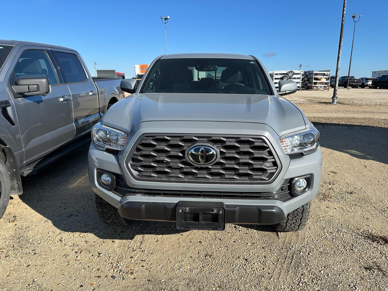 2020 Toyota Tacoma Platinum  Crewmax Photo