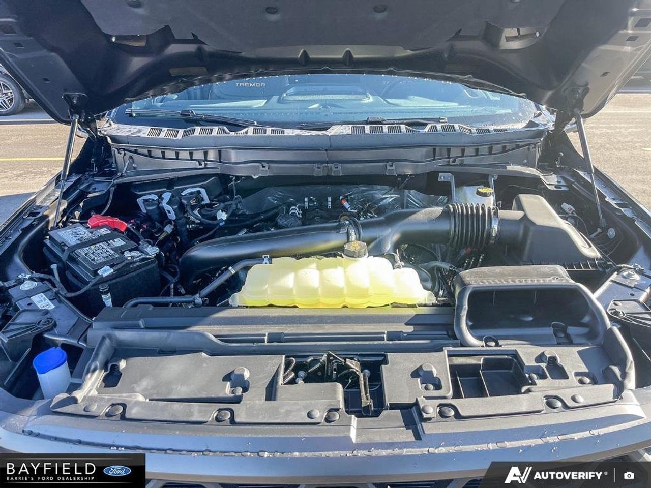2026 Ford F-150 Tremor Photo