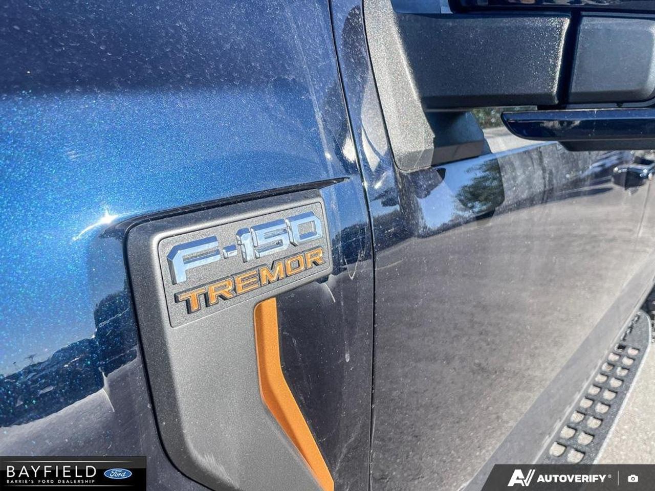 2026 Ford F-150 Tremor Photo