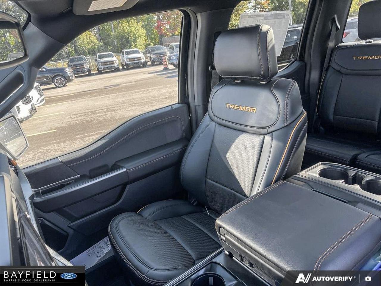 2026 Ford F-150 Tremor Photo