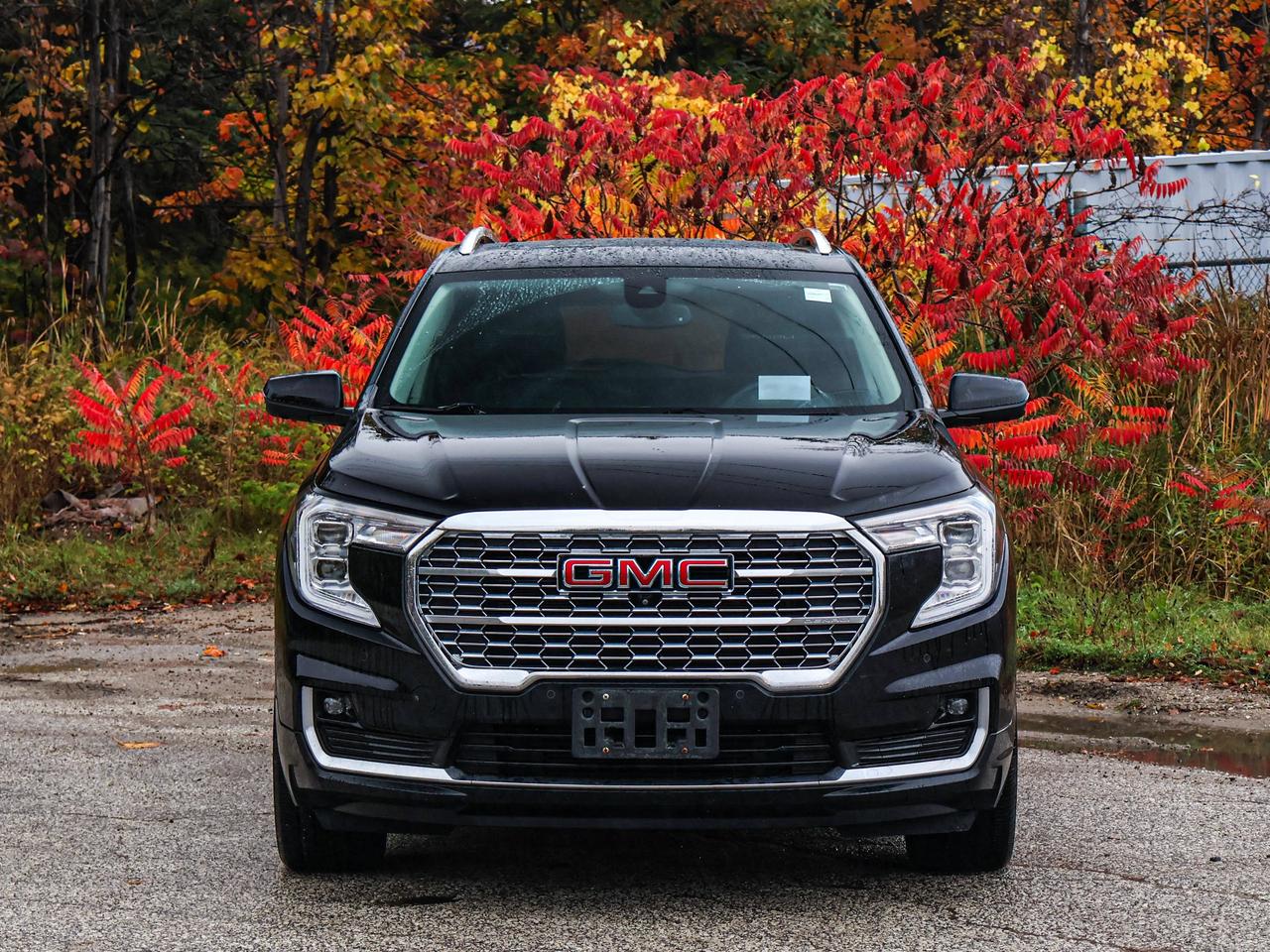2024 GMC Terrain Denali Photo