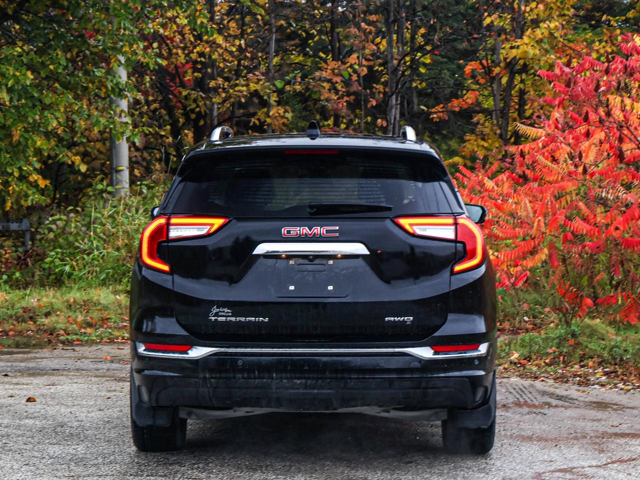 2024 GMC Terrain Denali Photo