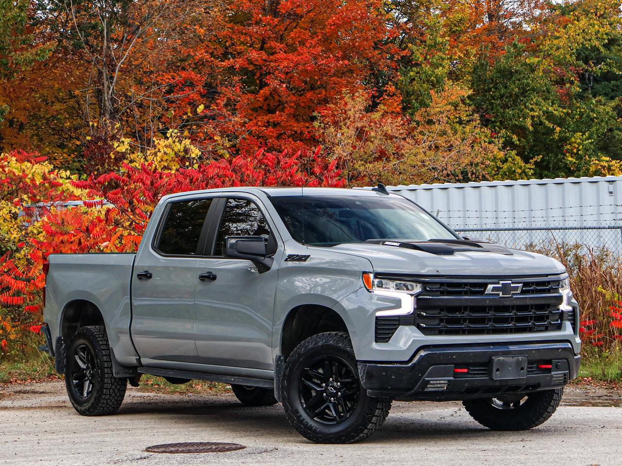 2024 Chevrolet Silverado 1500 LT Trail Boss Photo