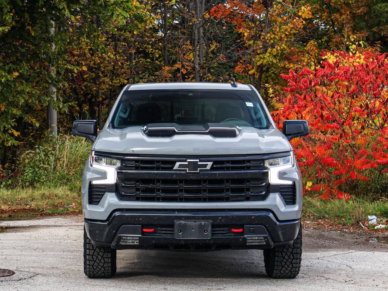 2024 Chevrolet Silverado 1500 LT Trail Boss Photo