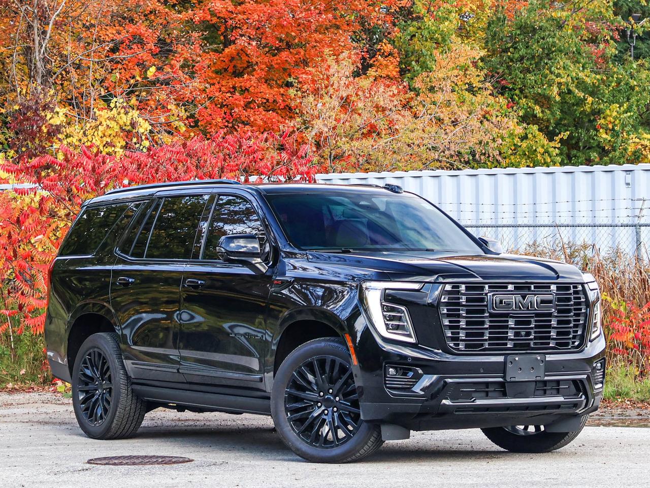 2025 GMC Yukon Denali Photo5