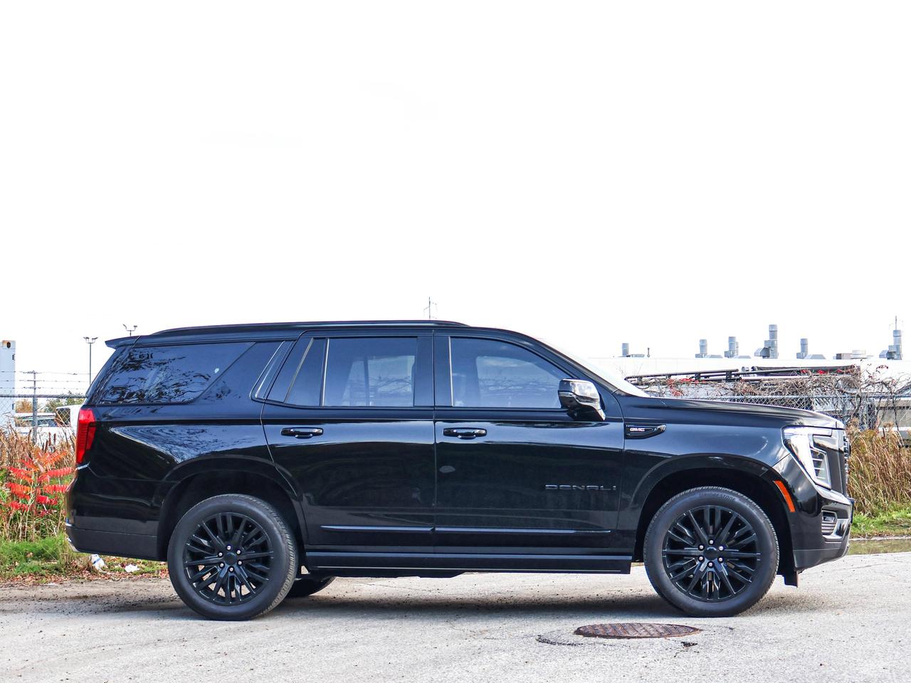2025 GMC Yukon Denali Photo